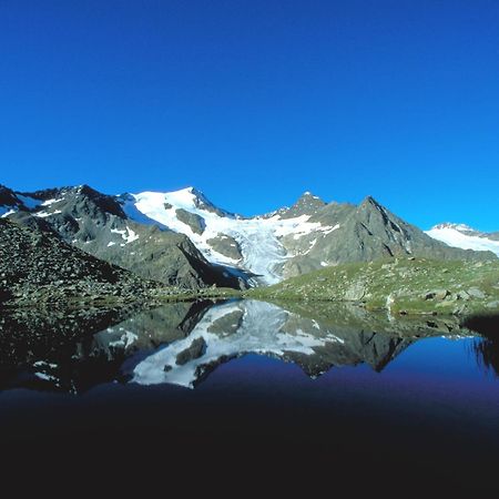 Haus Gabi Lägenhet Neustift im Stubaital Exteriör bild