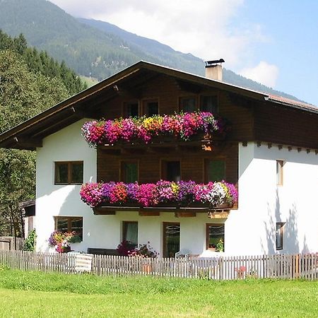 Haus Gabi Lägenhet Neustift im Stubaital Exteriör bild